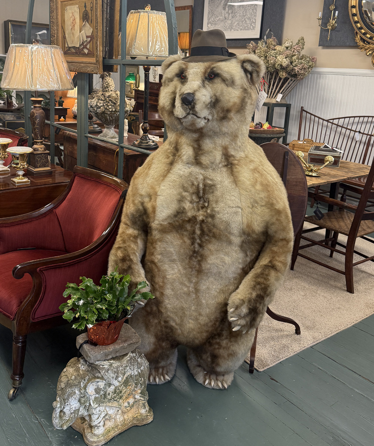 Furry friend on Main Street - The Central Virginian